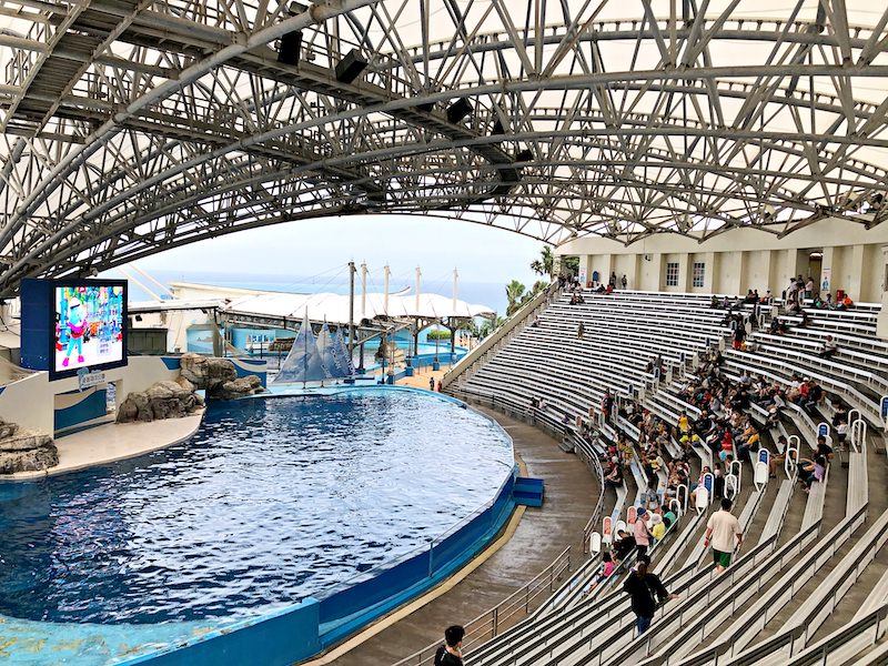 【2026春節限定】海洋公園+A2水岸輕鬆遊一日 花蓮好好玩