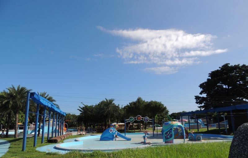 【吉安好玩】知卡宣森林親水公園｜親近花草樹木療癒身心，夏天還能玩水快樂消暑！ 花蓮好好玩