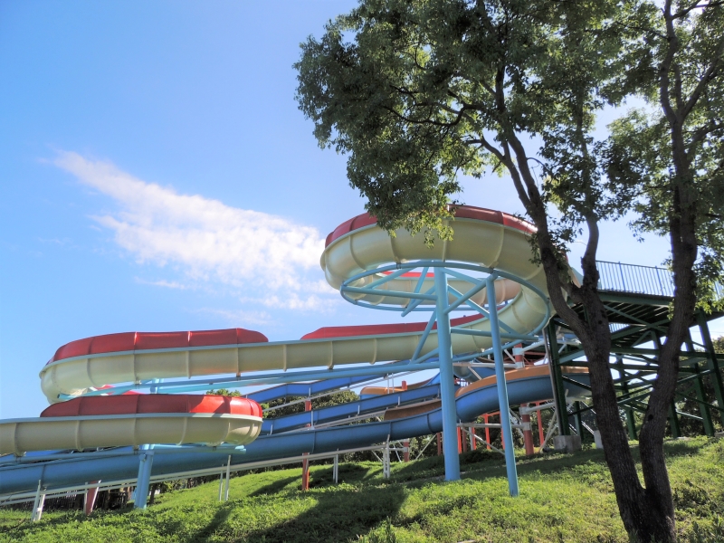 【吉安好玩】知卡宣森林親水公園｜親近花草樹木療癒身心，夏天還能玩水快樂消暑！ 花蓮好好玩