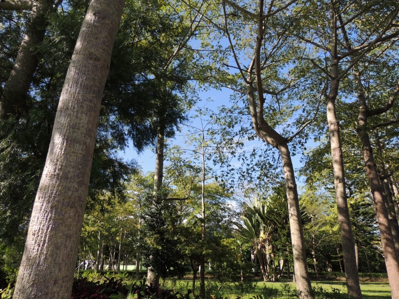 【吉安好玩】知卡宣森林親水公園｜親近花草樹木療癒身心，夏天還能玩水快樂消暑！ 花蓮好好玩