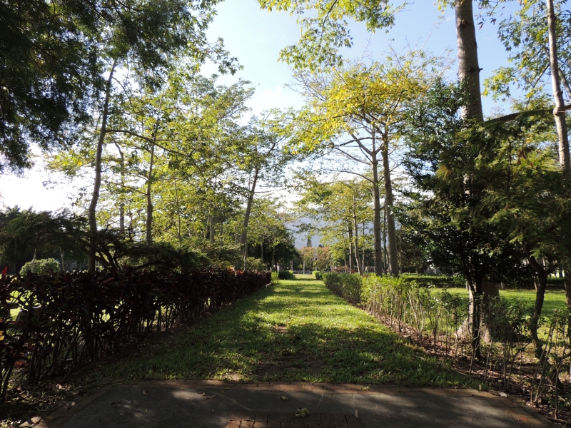 【吉安好玩】知卡宣森林親水公園｜親近花草樹木療癒身心，夏天還能玩水快樂消暑！ 花蓮好好玩
