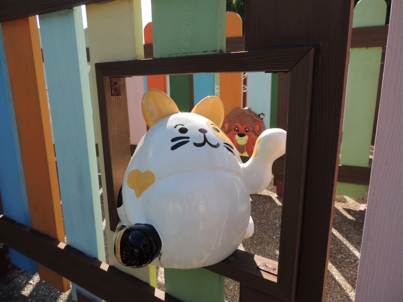 【吉安好玩】知卡宣森林親水公園｜親近花草樹木療癒身心，夏天還能玩水快樂消暑！ 花蓮好好玩