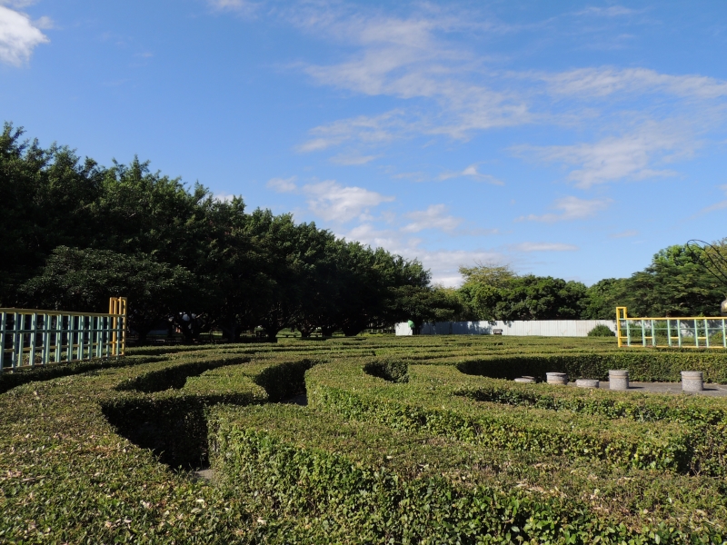 【吉安好玩】知卡宣森林親水公園｜親近花草樹木療癒身心，夏天還能玩水快樂消暑！ 花蓮好好玩