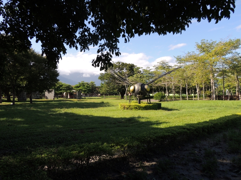 【吉安好玩】知卡宣森林親水公園｜親近花草樹木療癒身心，夏天還能玩水快樂消暑！ 花蓮好好玩