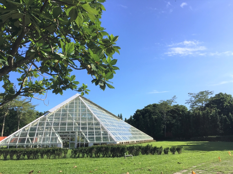 【吉安好玩】知卡宣森林親水公園｜親近花草樹木療癒身心，夏天還能玩水快樂消暑！ 花蓮好好玩
