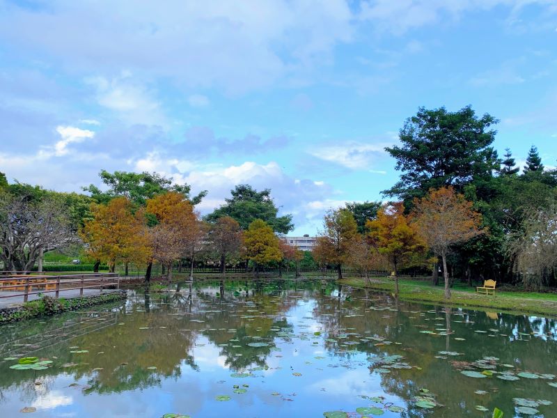 【吉安好玩】知卡宣森林親水公園｜親近花草樹木療癒身心，夏天還能玩水快樂消暑！ 花蓮好好玩