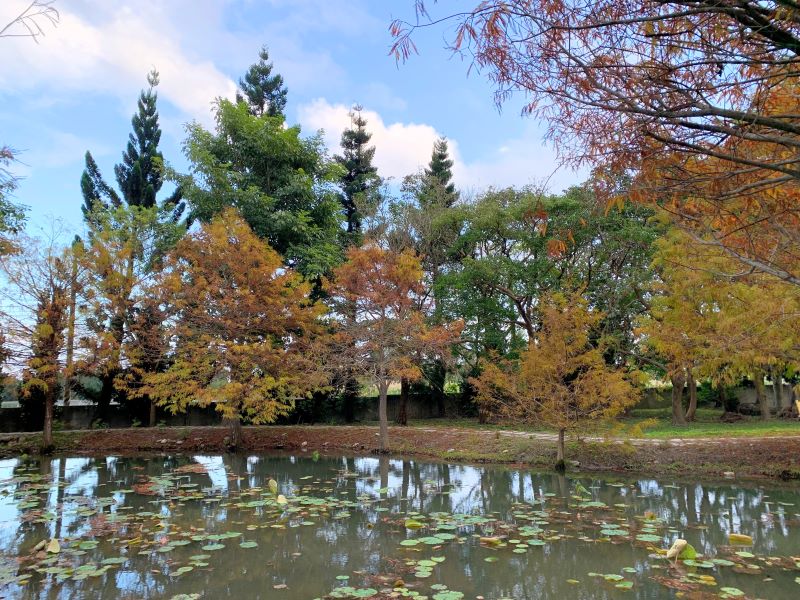 【吉安好玩】知卡宣森林親水公園｜親近花草樹木療癒身心，夏天還能玩水快樂消暑！ 花蓮好好玩