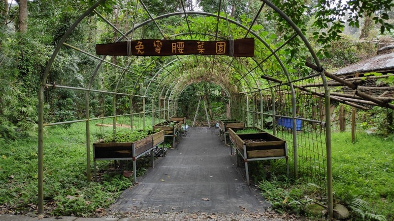 【光復好玩】馬太鞍溼地生態館｜悠閒散步，細緻感受，親近自然的靜態觀察日記 花蓮好好玩
