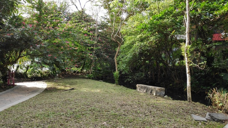 【光復好玩】馬太鞍溼地生態館｜悠閒散步，細緻感受，親近自然的靜態觀察日記 花蓮好好玩