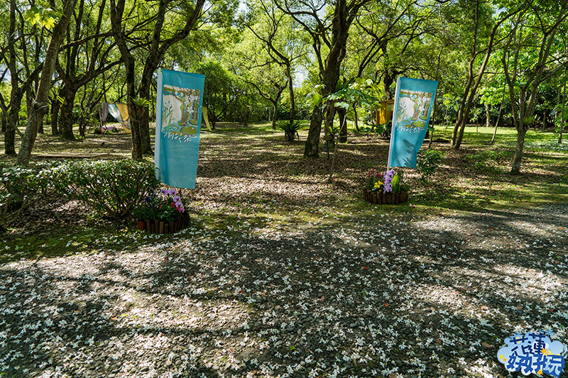 【吉安好玩】南華林業園區賞桐|四月春雪,吉安鄉限定的雪白花毯 花蓮好好玩 【吉安好玩】南華林業園區賞桐|四月春雪,吉安鄉限定的雪白花毯 花蓮好好玩