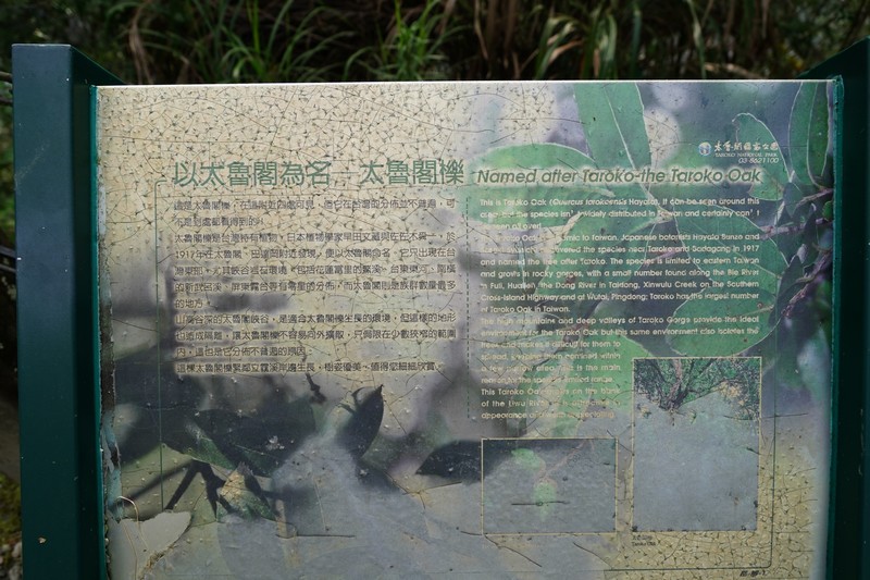 【太魯閣國家公園】岳王亭|中橫走過千百回,不識岳王識幾亭? 花蓮好好玩 【太魯閣國家公園】岳王亭|中橫走過千百回,不識岳王識幾亭? 花蓮好好玩