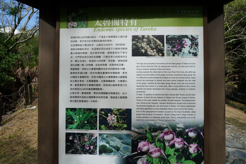 【太魯閣國家公園】岳王亭|中橫走過千百回,不識岳王識幾亭? 花蓮好好玩 【太魯閣國家公園】岳王亭|中橫走過千百回,不識岳王識幾亭? 花蓮好好玩