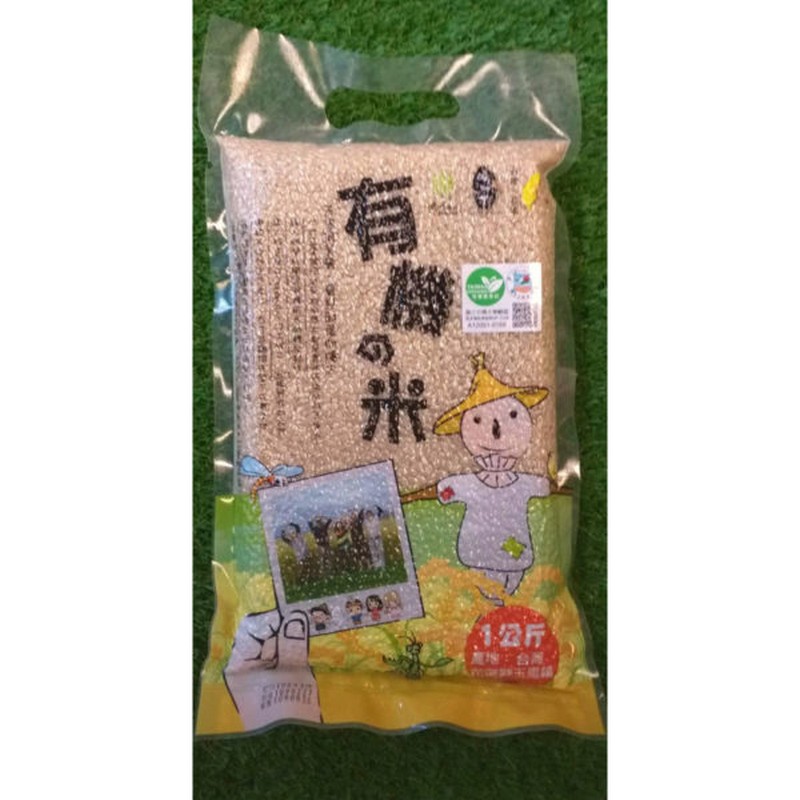 嚴選花東縱谷米中之最佳品質-多種米【哇好米】 花蓮好好玩