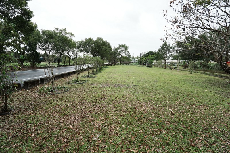 【新城好玩】新秀村同心林公園｜樹林腳旁的翻新兒童小公園 花蓮好好玩