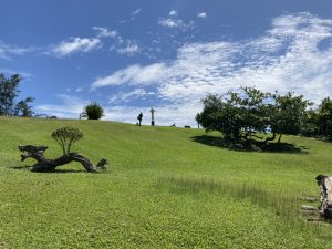 漫遊花蓮海線一日旅｜牛山呼庭秘境・麻糬洞奇景・大石鼻山山海景 NT$1500 花蓮好好玩