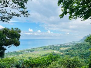 東海岸 - 遠走長濱一日遊｜海景步道・秘境花園・景觀玻璃屋 NT$1900 花蓮好好玩