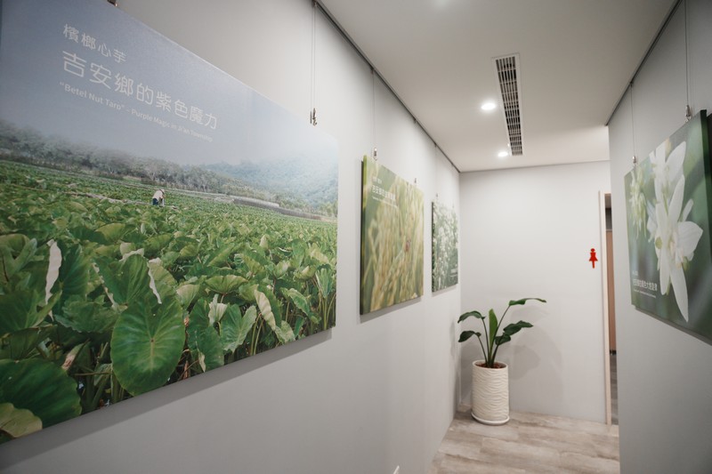 【吉安好吃】山海正甜 吉製冰所｜皮蛋？香菜？吉安鄉農會最新花式冰淇淋，新的網美景點誕生了 花蓮好好玩