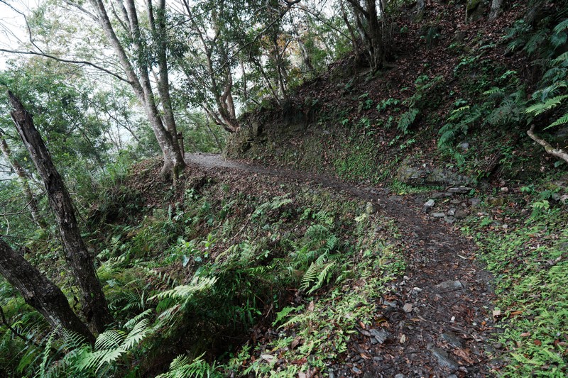 【卓溪好玩】瓦拉米步道|壯闊山風吊橋、森林步道與日治遺跡,親子步道體驗 花蓮好好玩 【卓溪好玩】瓦拉米步道|壯闊山風吊橋、森林步道與日治遺跡,親子步道體驗 花蓮好好玩