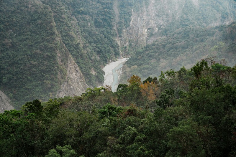 【卓溪好玩】瓦拉米步道|壯闊山風吊橋、森林步道與日治遺跡,親子步道體驗 花蓮好好玩 【卓溪好玩】瓦拉米步道|壯闊山風吊橋、森林步道與日治遺跡,親子步道體驗 花蓮好好玩
