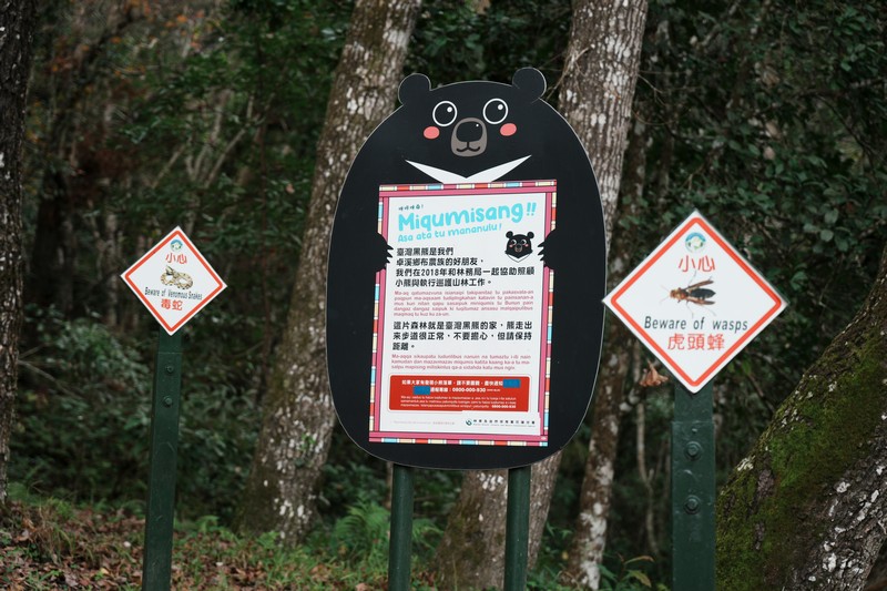 【卓溪好玩】瓦拉米步道|壯闊山風吊橋、森林步道與日治遺跡,親子步道體驗 花蓮好好玩 【卓溪好玩】瓦拉米步道|壯闊山風吊橋、森林步道與日治遺跡,親子步道體驗 花蓮好好玩
