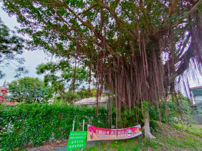 【新城好玩】新城村兒童遊樂場｜鎮安宮公車站旁的簡單可愛地方小公園 花蓮好好玩