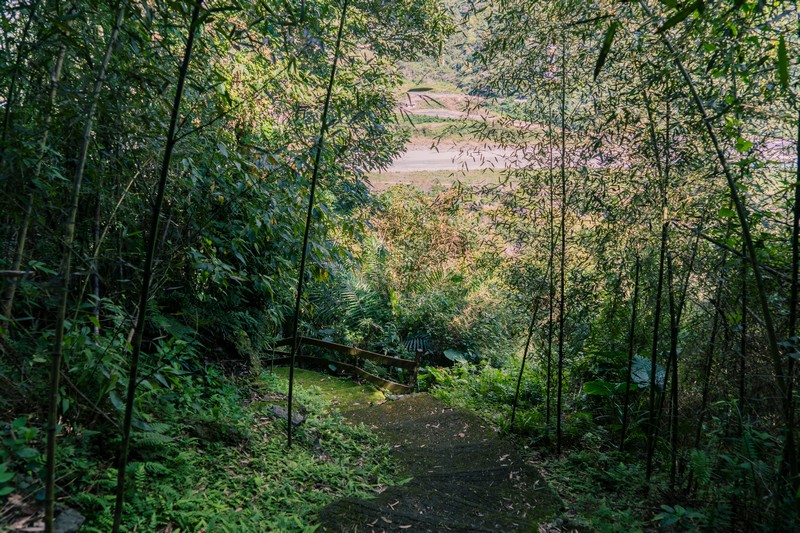 森板步道｜摩里薩卡林田山，台灣四大林場裡的秘密步道，充滿教堂色彩的浮雕故事與森林健行 花蓮好好玩