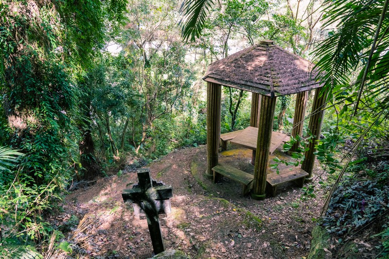 森板步道｜摩里薩卡林田山，台灣四大林場裡的秘密步道，充滿教堂色彩的浮雕故事與森林健行 花蓮好好玩