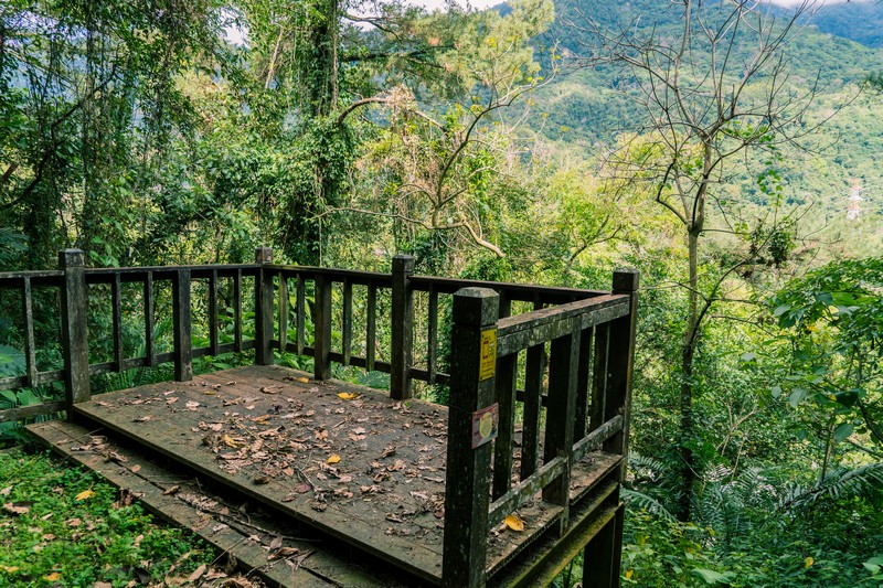 森板步道｜摩里薩卡林田山，台灣四大林場裡的秘密步道，充滿教堂色彩的浮雕故事與森林健行 花蓮好好玩