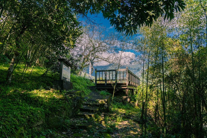 森板步道｜摩里薩卡林田山，台灣四大林場裡的秘密步道，充滿教堂色彩的浮雕故事與森林健行 花蓮好好玩