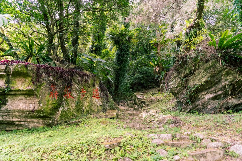 森板步道｜摩里薩卡林田山，台灣四大林場裡的秘密步道，充滿教堂色彩的浮雕故事與森林健行 花蓮好好玩