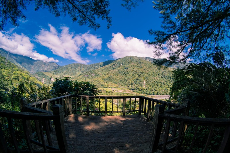 森板步道｜摩里薩卡林田山，台灣四大林場裡的秘密步道，充滿教堂色彩的浮雕故事與森林健行 花蓮好好玩