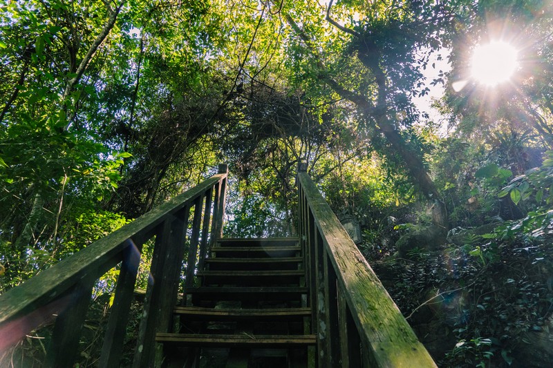 森板步道｜摩里薩卡林田山，台灣四大林場裡的秘密步道，充滿教堂色彩的浮雕故事與森林健行 花蓮好好玩