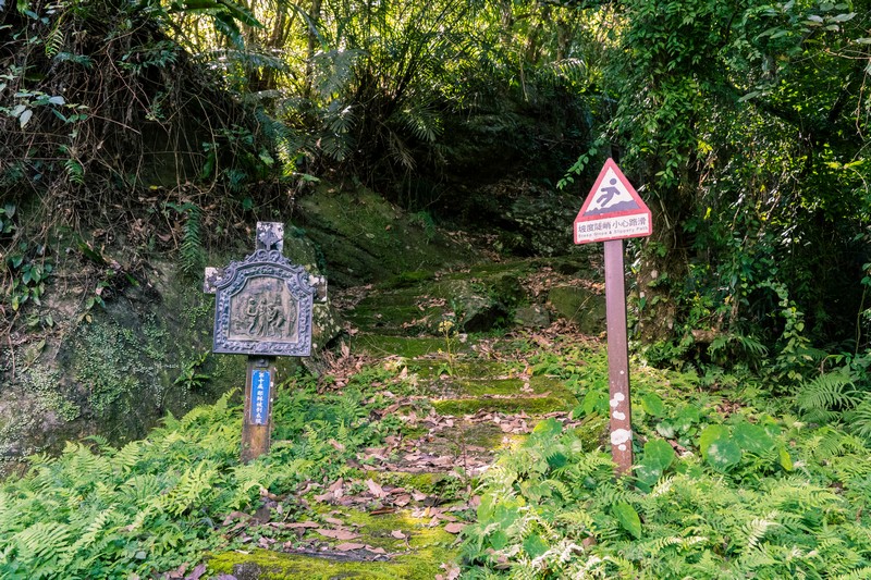 森板步道｜摩里薩卡林田山，台灣四大林場裡的秘密步道，充滿教堂色彩的浮雕故事與森林健行 花蓮好好玩
