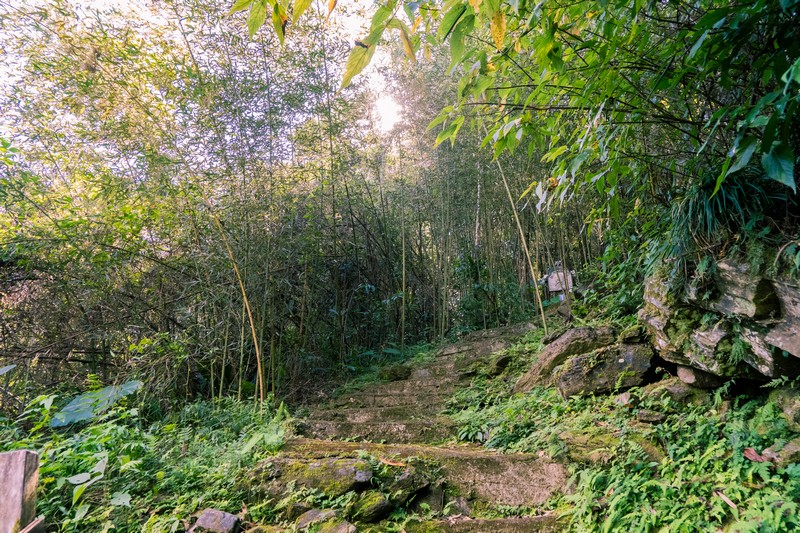 森板步道｜摩里薩卡林田山，台灣四大林場裡的秘密步道，充滿教堂色彩的浮雕故事與森林健行 花蓮好好玩