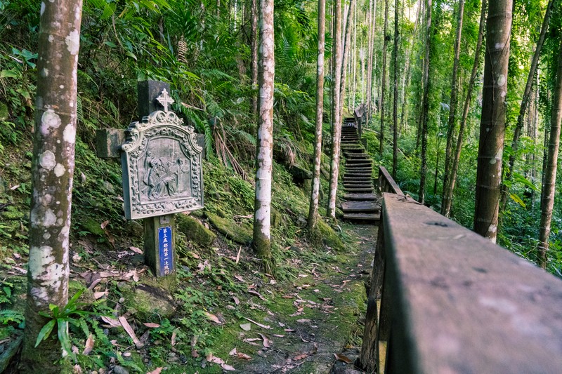 森板步道｜摩里薩卡林田山，台灣四大林場裡的秘密步道，充滿教堂色彩的浮雕故事與森林健行 花蓮好好玩