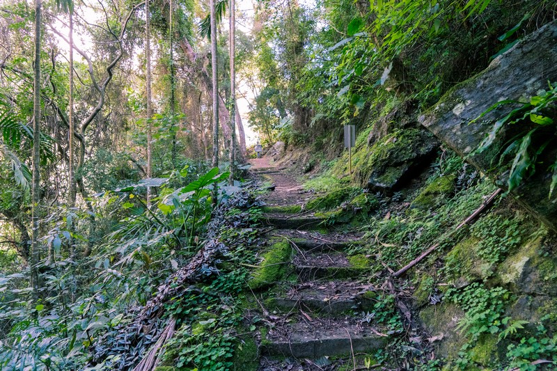 森板步道｜摩里薩卡林田山，台灣四大林場裡的秘密步道，充滿教堂色彩的浮雕故事與森林健行 花蓮好好玩