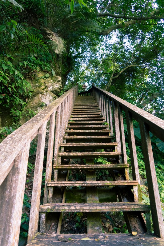 森板步道｜摩里薩卡林田山，台灣四大林場裡的秘密步道，充滿教堂色彩的浮雕故事與森林健行 花蓮好好玩