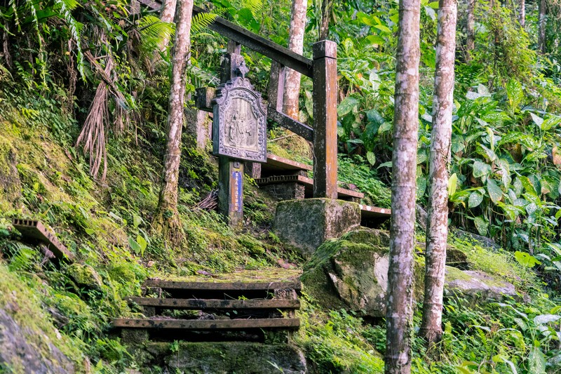 森板步道｜摩里薩卡林田山，台灣四大林場裡的秘密步道，充滿教堂色彩的浮雕故事與森林健行 花蓮好好玩