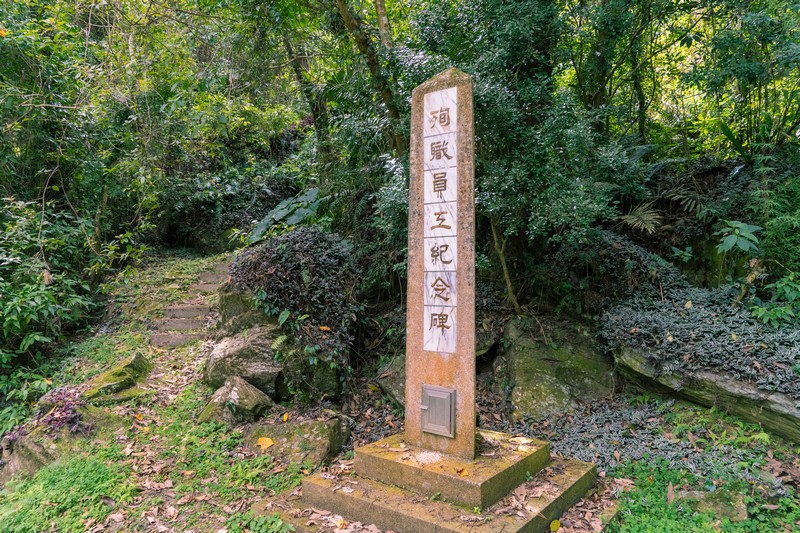 森板步道｜摩里薩卡林田山，台灣四大林場裡的秘密步道，充滿教堂色彩的浮雕故事與森林健行 花蓮好好玩