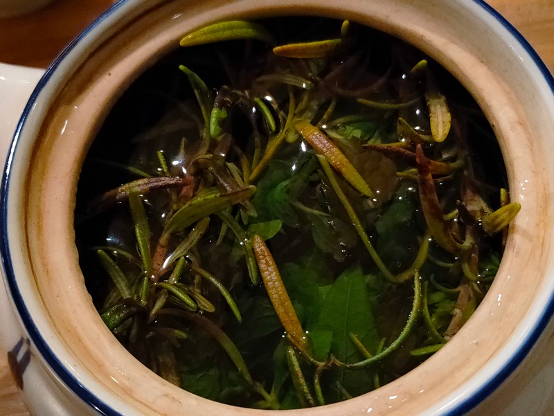 【花蓮市好吃】麵包樹 食在文化|被花花草草掩埋的秘境轉角義大利麵 花蓮好好玩 【花蓮市好吃】麵包樹 食在文化|被花花草草掩埋的秘境轉角義大利麵 花蓮好好玩