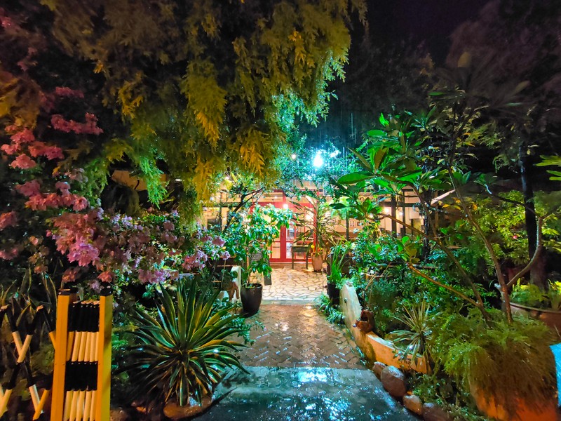 【花蓮市好吃】麵包樹 食在文化|被花花草草掩埋的秘境轉角義大利麵 花蓮好好玩 【花蓮市好吃】麵包樹 食在文化|被花花草草掩埋的秘境轉角義大利麵 花蓮好好玩