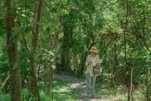 海線｜大石鼻山、高山森林基地 一個人的森林一日 NT$1580 花蓮好好玩