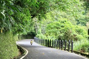 花東縱谷一日遊｜鯉魚潭湖景・林田山木城・糖廠散策・大農大富綠海・瑞穗牧場 NT$1600 花蓮好好玩