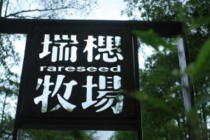 花東縱谷一日遊｜鯉魚潭湖景・林田山木城・糖廠散策・大農大富綠海・瑞穗牧場 NT$1600 花蓮好好玩
