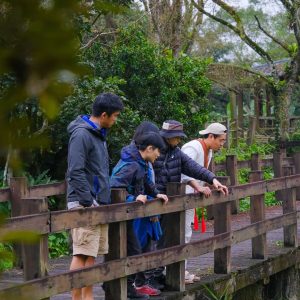 河上餐桌 一日遊 (部落日常/生態體驗/大地餐桌) NT$1600 起 花蓮好好玩