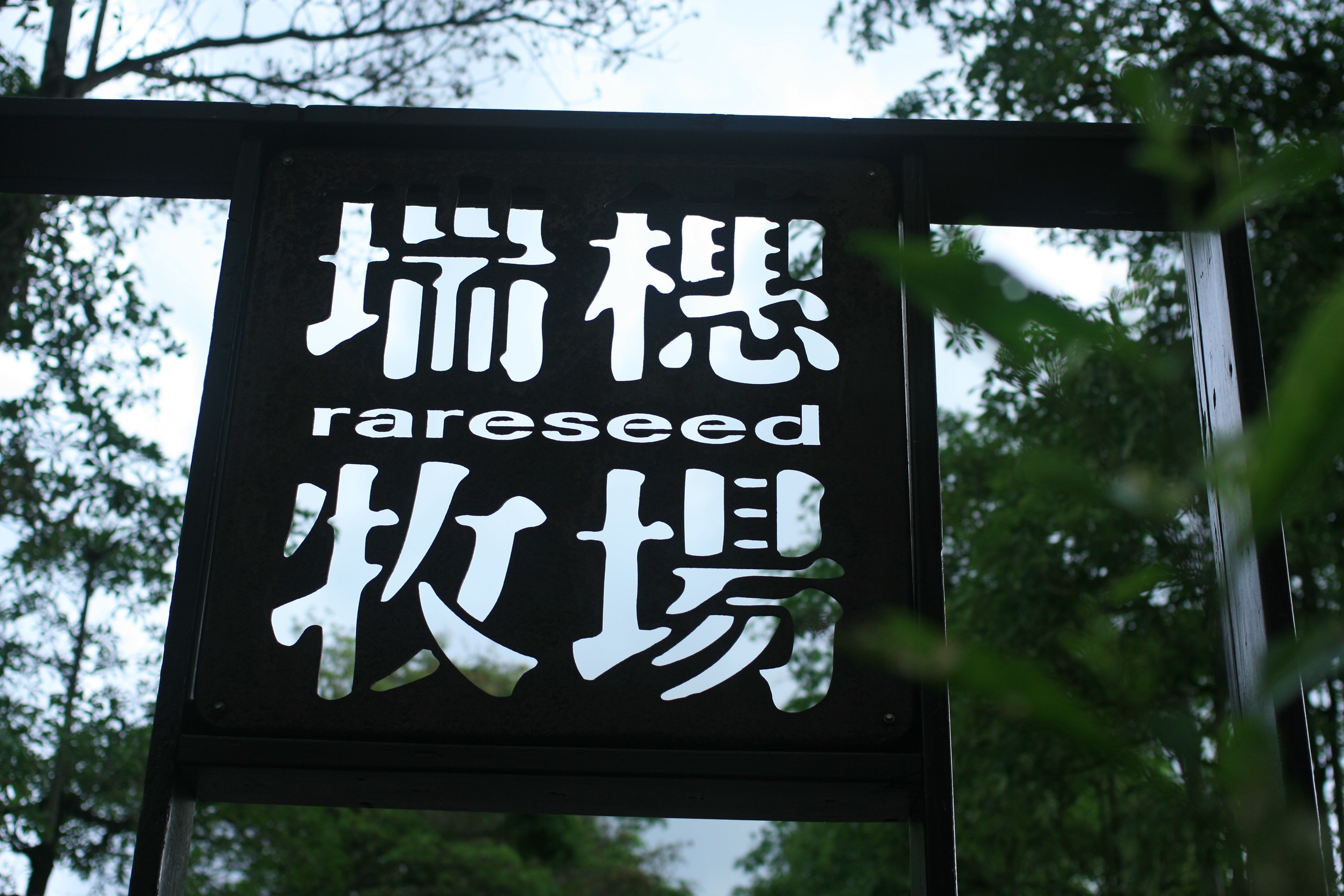 花蓮金針花3選1｜六十石山・赤柯山｜含午餐・可送飯店｜一日輕鬆賞花 NT$1300 起 花蓮好好玩