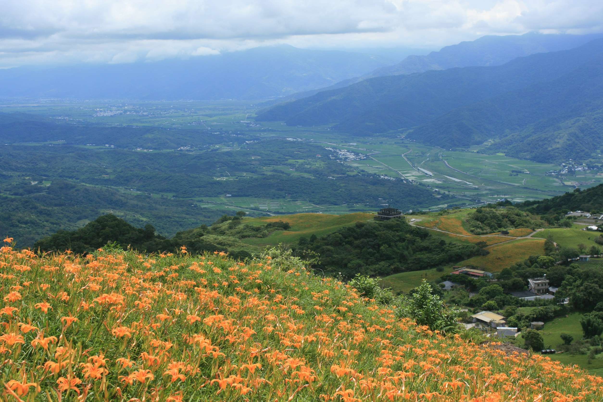 花蓮金針花3選1｜六十石山・赤柯山｜含午餐・可送飯店｜一日輕鬆賞花 NT$1300 起 花蓮好好玩