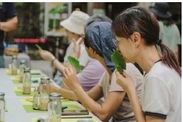 山林慢時光｜香草療癒 × 竹趣手作 【果子俠】NT$550起 花蓮好好玩