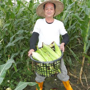 花蓮水果玉米，每箱25根【林記燒番麥】-花蓮玉米達人自種自銷