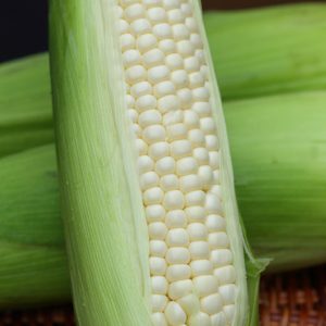 花蓮水果玉米，每箱10根【林記燒番麥】-花蓮玉米達人自種自銷